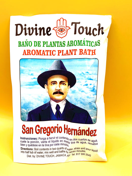 San Gregorio Hernandez plant bath